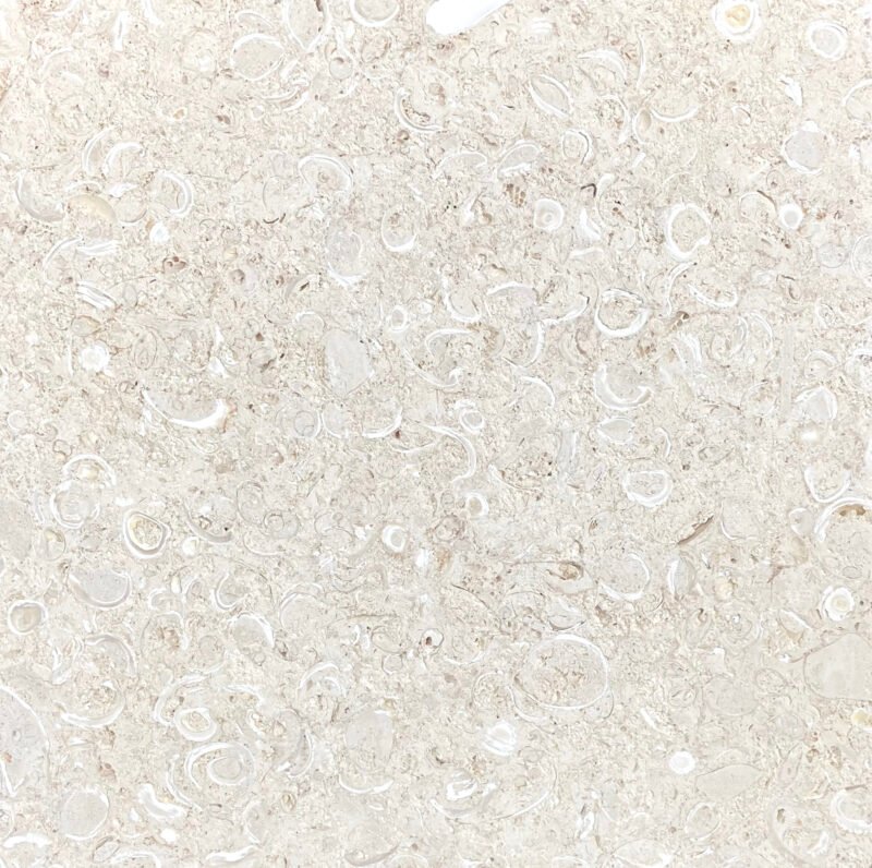 Coralina Shell Stone