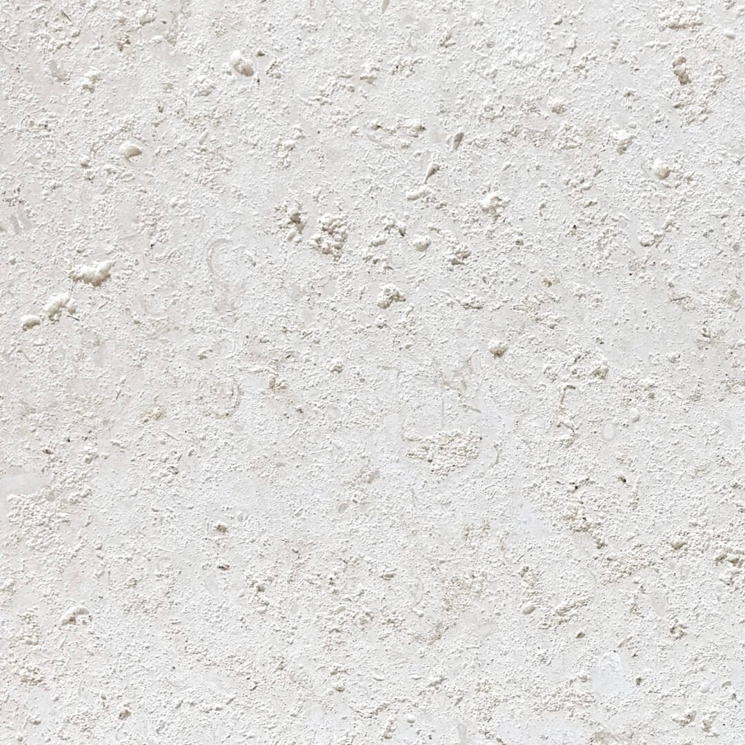 Coral Classic Tile Dense – Stone & US