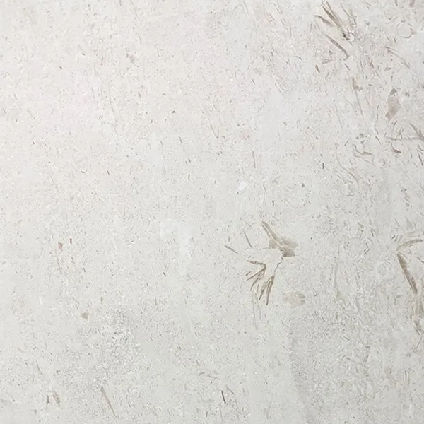 Shell Stone Tile