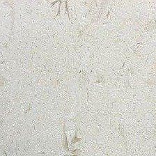Shell Beige Tumbled Limestone Pavers - Image 3